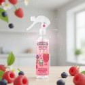 Parfum Spray 250Ml - Désodorisant - The Fruit Company
