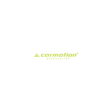 Carmotion
