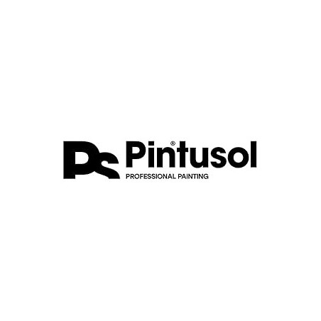 Pintusol